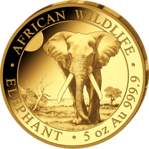 5 Unze Gold Somalia Elefant 2025 (Auflage: 50 | Polierte Platte)